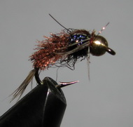 ���� ����� Organza Ph. Tail Brown  nymph ������ � 10 Scud